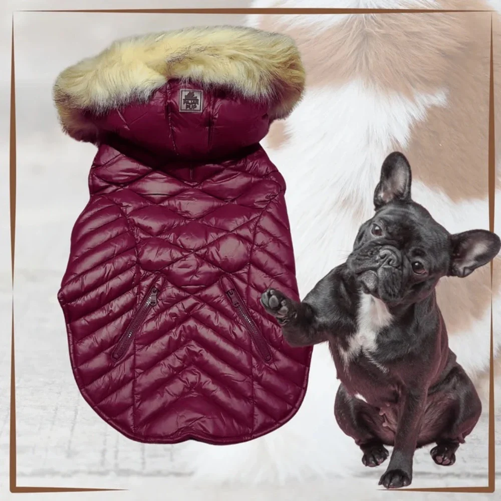 Pajar Dog Jacket - Picture 2 of 14